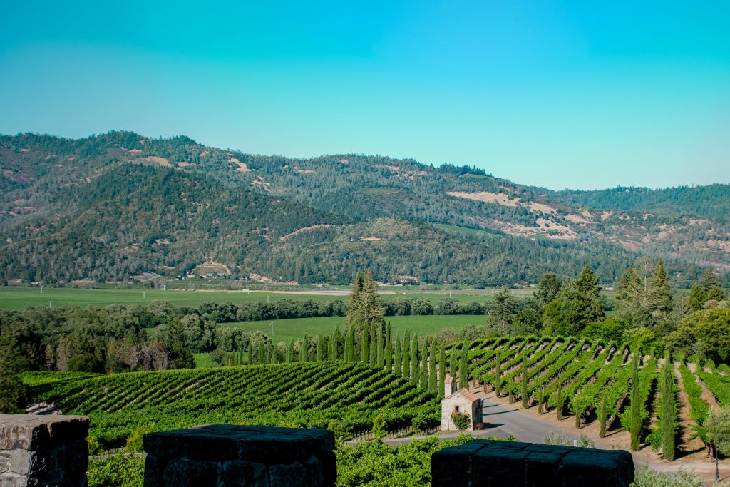 Vineyard stretching across Napa Valley, California, under a clear blue sky.