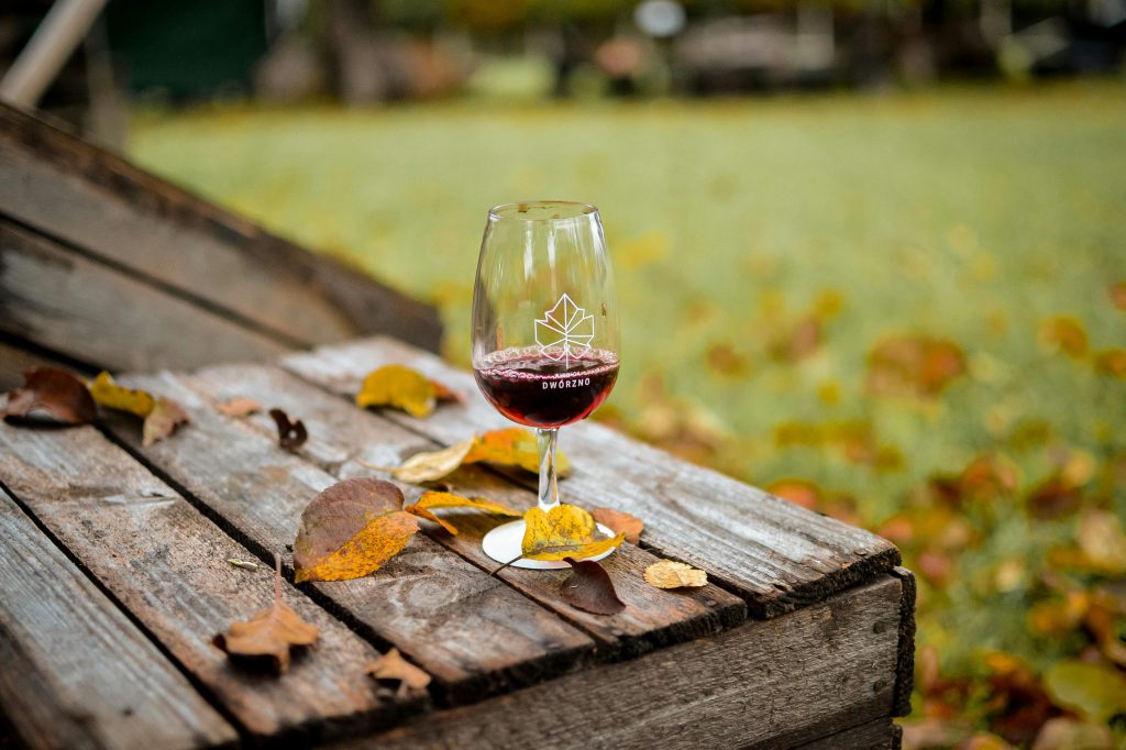 A wine glass with red wine on a rustic table surrounded by autumn leaves outdoors.