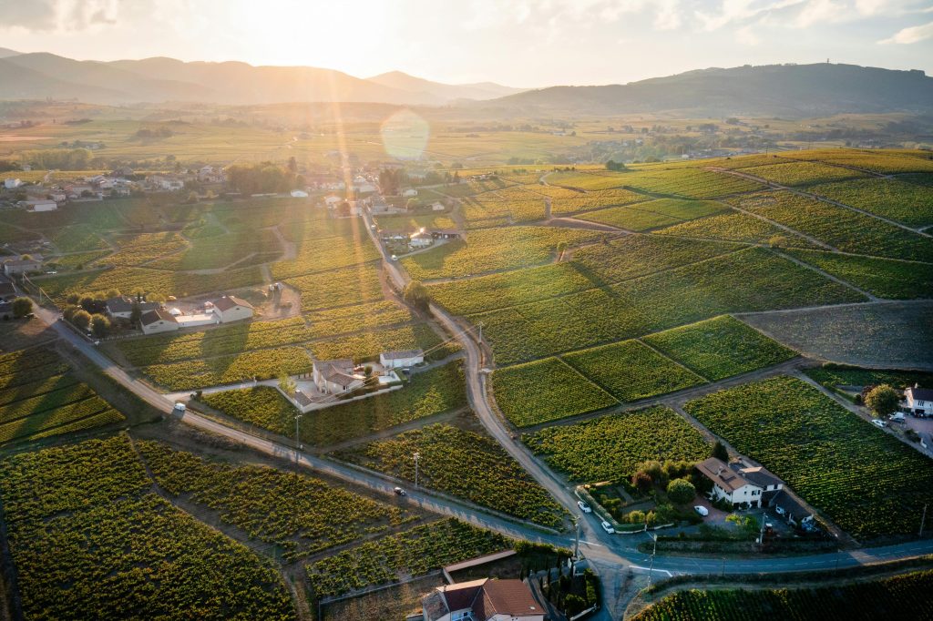 Drone shot of the picturesque vineyards in Villié-Morgon, France at sunrise, featuring green fields and rural landscapes.
