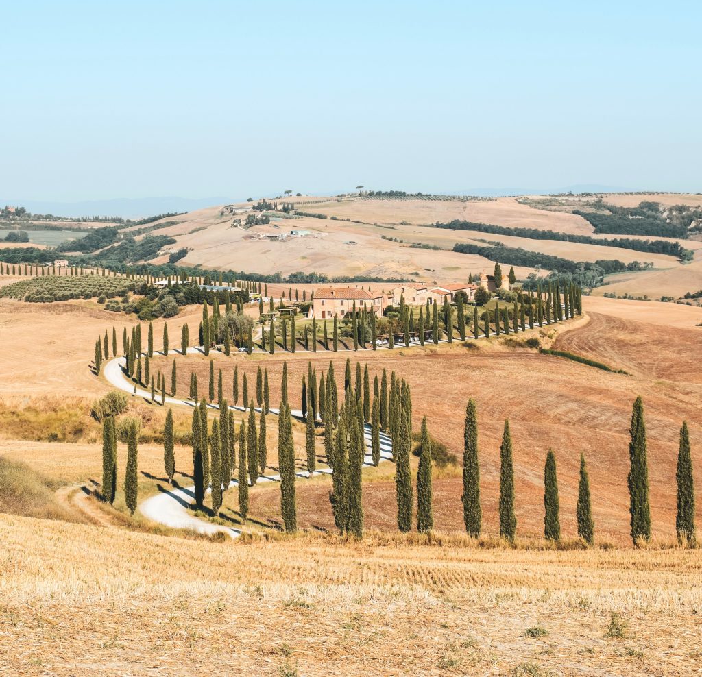 A scenic view of Tuscany's rolling hills adorned with iconic cypress trees in summer.