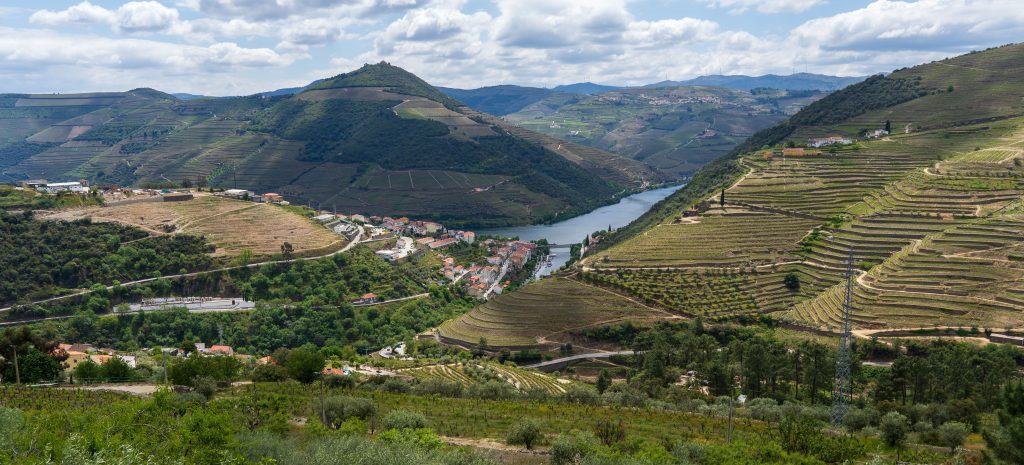 Captivating aerial view of Douro Valley's terraced vineyards and river.