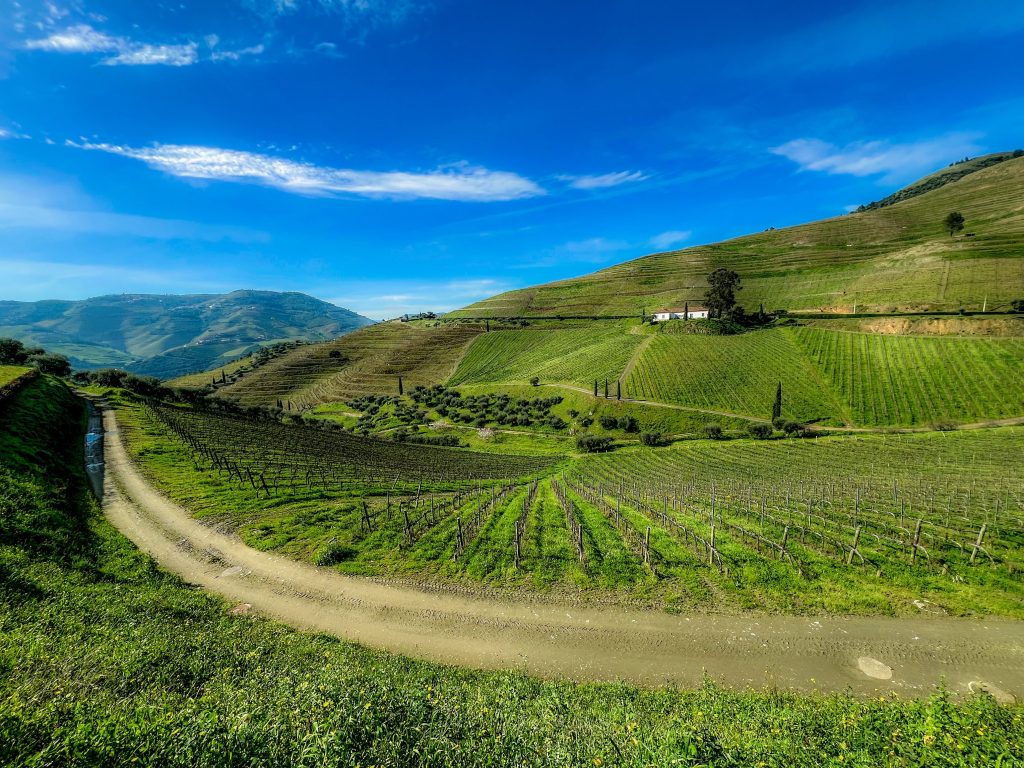 Sweeping view of vibrant vineyards in Galafura, Portugal under a clear blue sky.