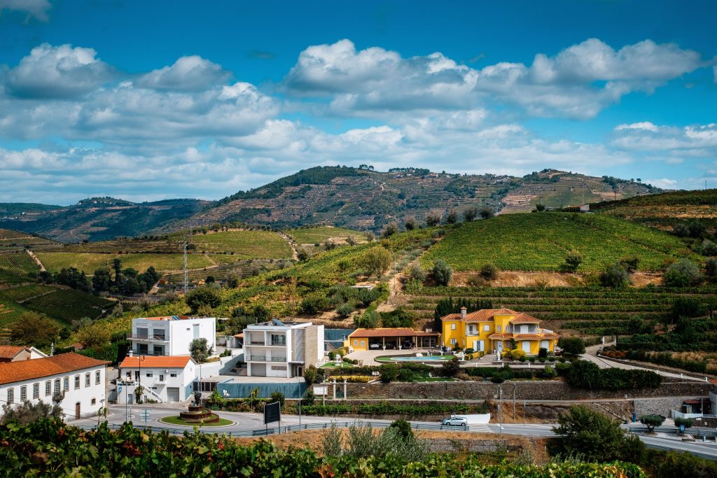 Picturesque view of lush vineyards and colorful houses in a serene countryside setting under a bright sky.