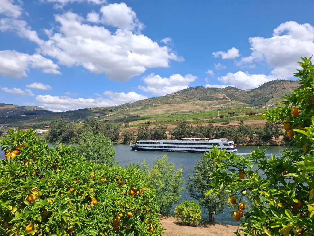 River cruise ship on Douro River framed by orange trees under a vibrant sky.
