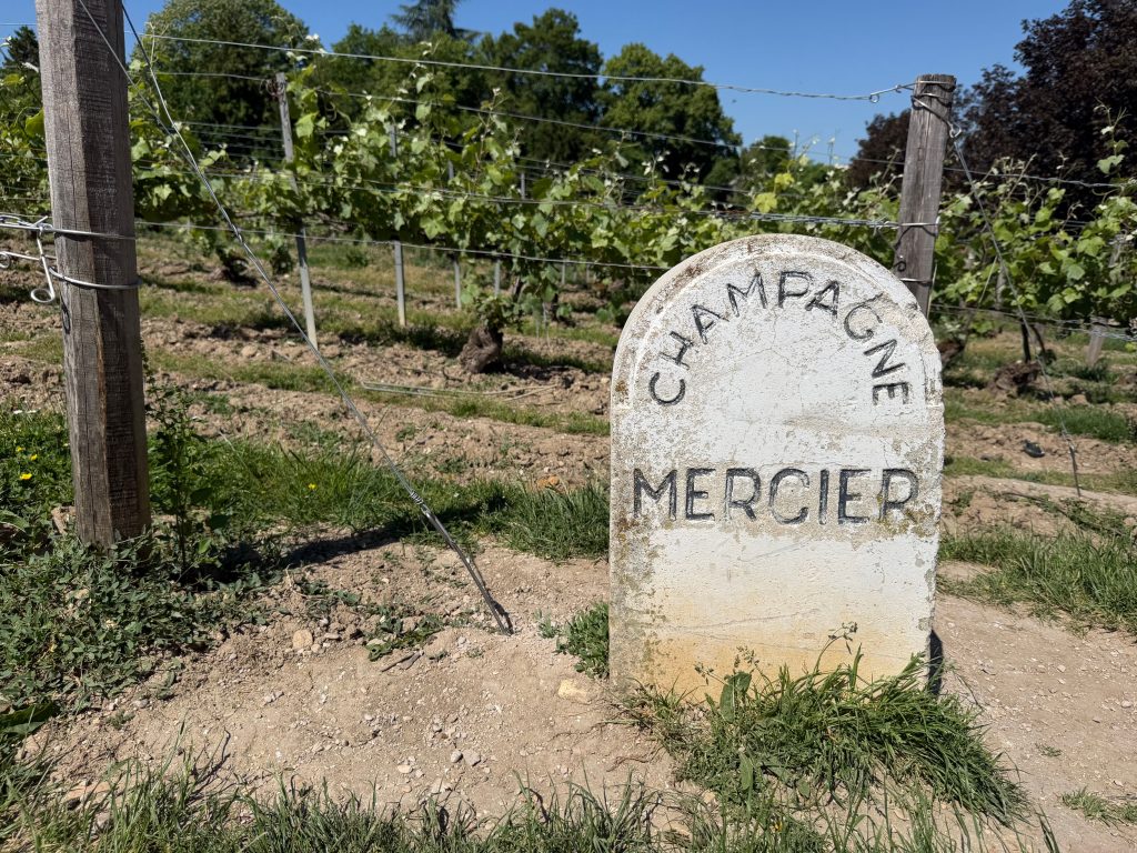 View of Champagne Mercier vineyard with a vintage marker in Épernay, France on a sunny day.